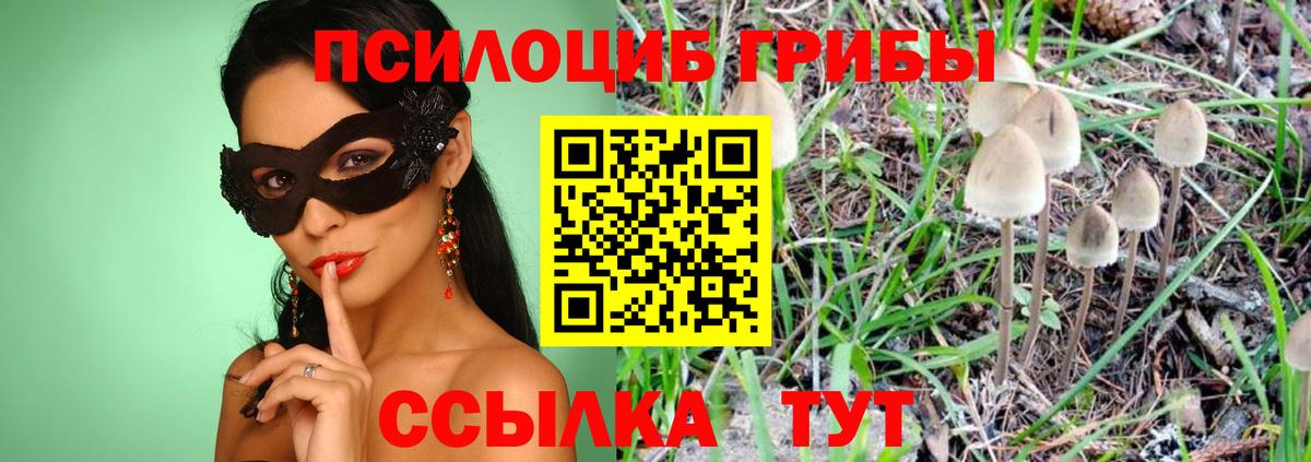 Бор  Галлюциногенные грибы мухоморы  Вход с VPN 